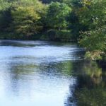 Clitheroe Anglers Association river scene
