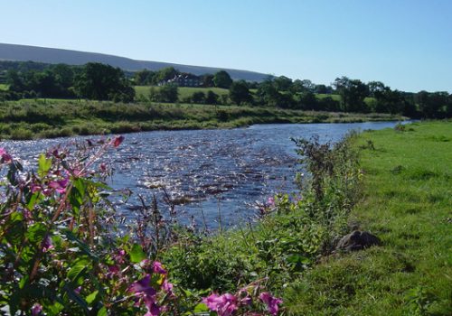 Clitheroe Anglers Association fishing