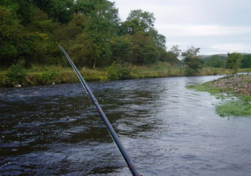 Clitheroe Anglers Association fishing courses image