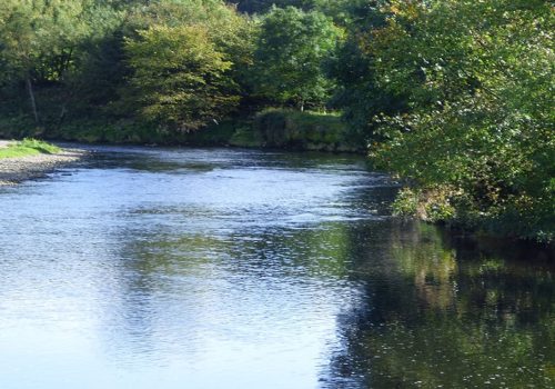 Clitheroe Anglers Association river scene