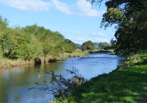 Clitheroe Anglers Association river scene