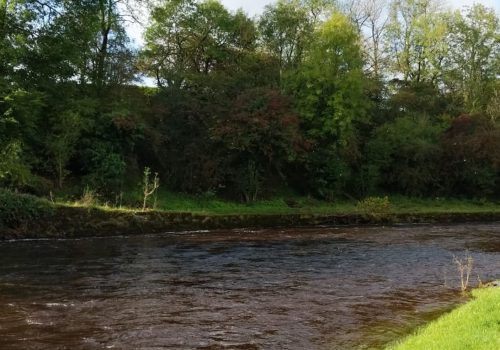 Clitheroe Anglers Association fishing